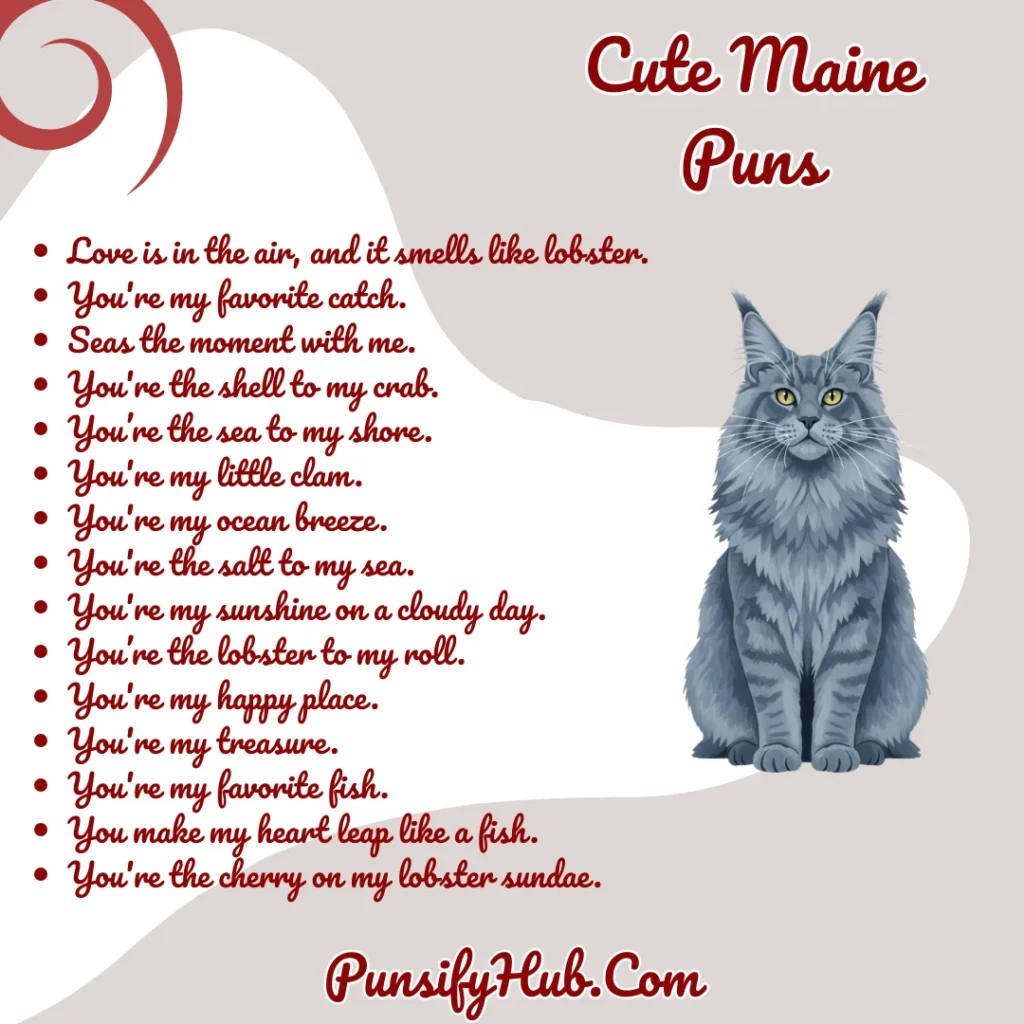 Cute Maine Puns