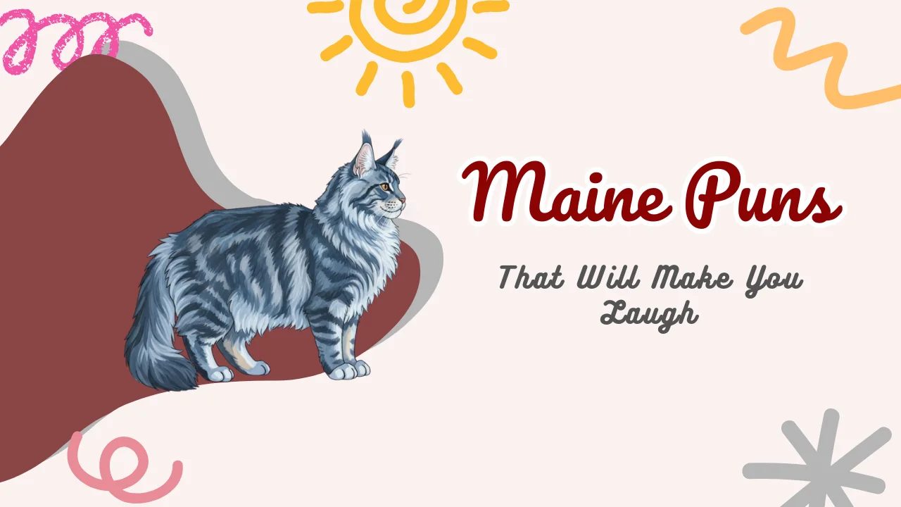 Cute Maine Puns