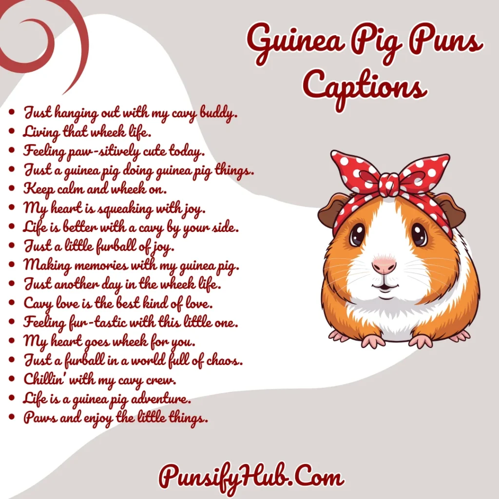 Guinea Pig Puns Captions