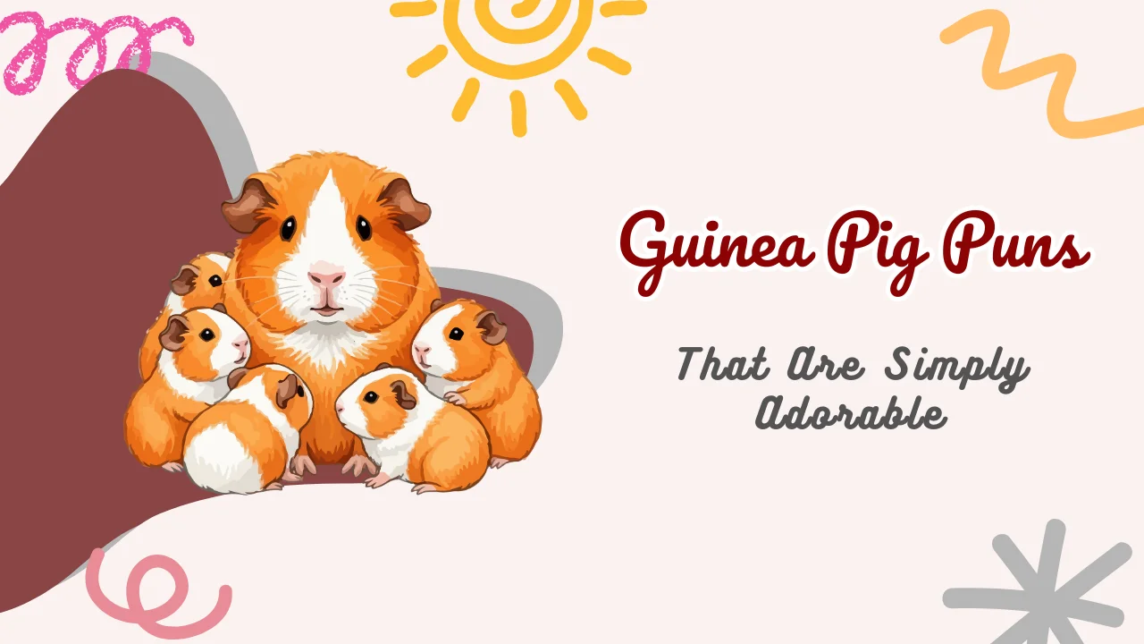 Guinea Pig Puns
