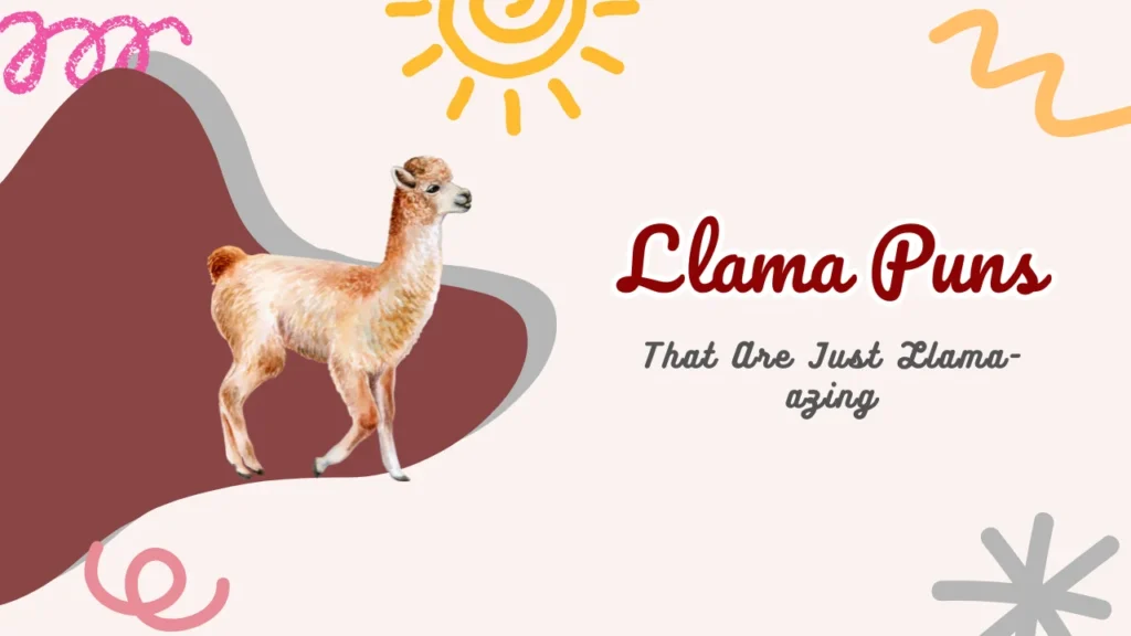 Llama Puns