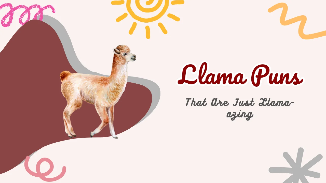 Llama Puns