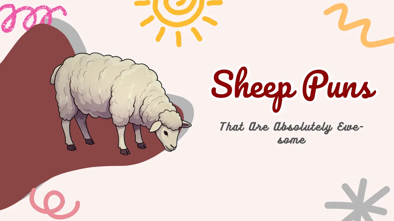 Sheep Puns