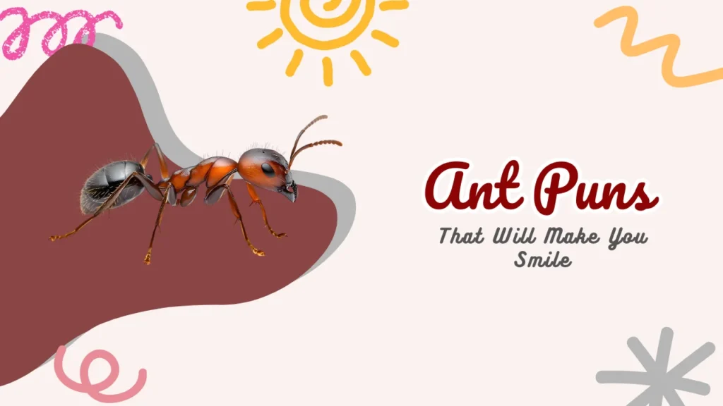 Ant Puns