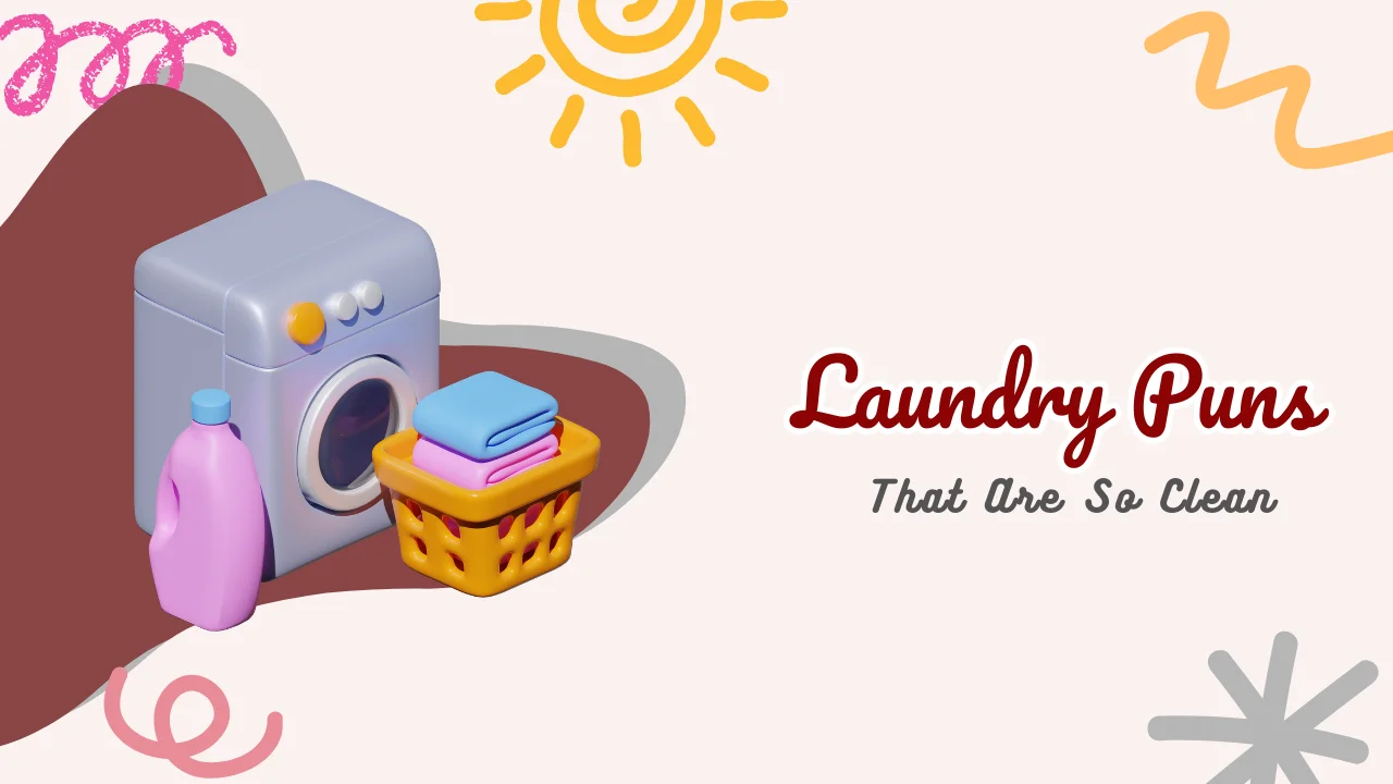 Laundry Puns