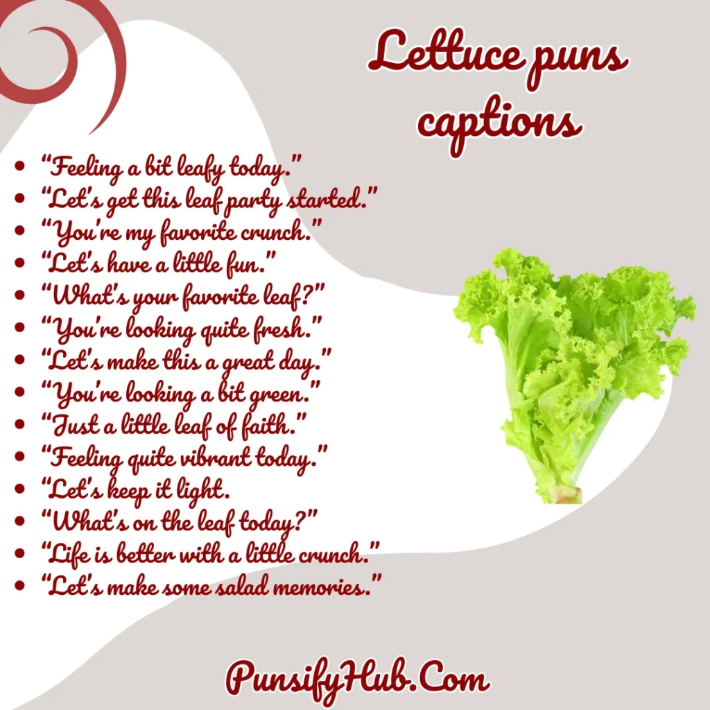 Lettuce puns captions