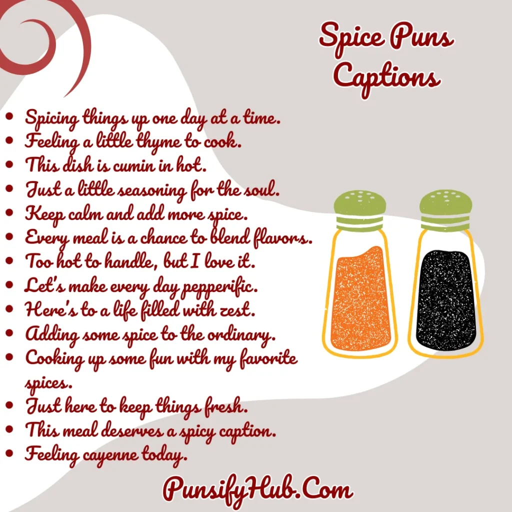 Spice Puns Captions